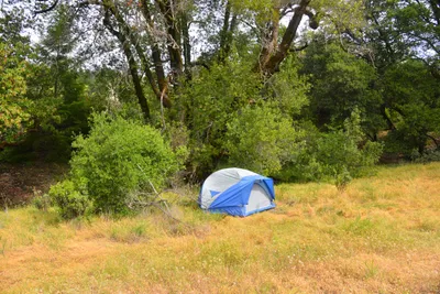 DSC_6825 (Large).JPG